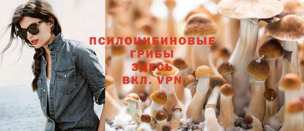 гидра Баксан